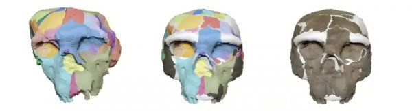 拂去时光尘埃：从“龙东谈主”之名到端淑源起